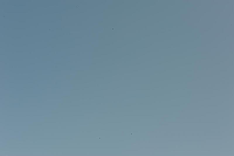 DSC_0266_crop.JPG