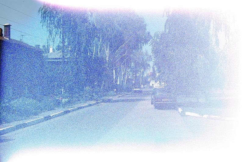 DSC_0040.jpg