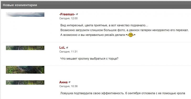 Снимок-IE.JPG