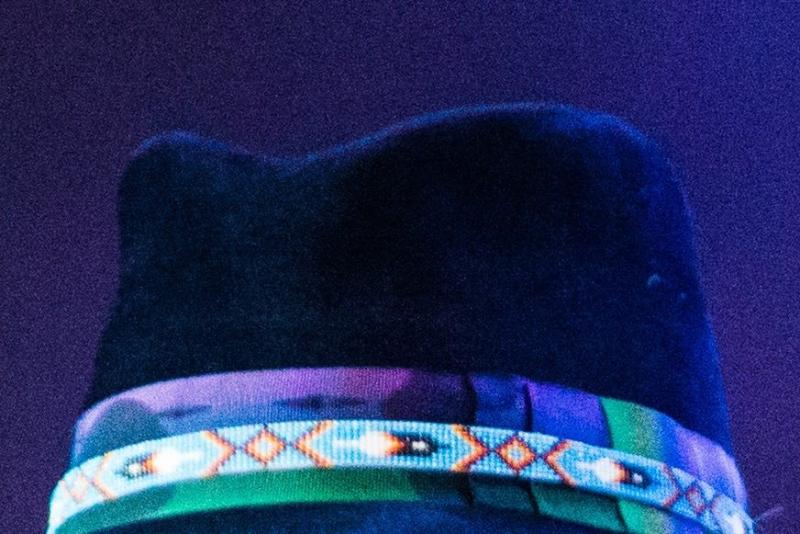 crop.jpg