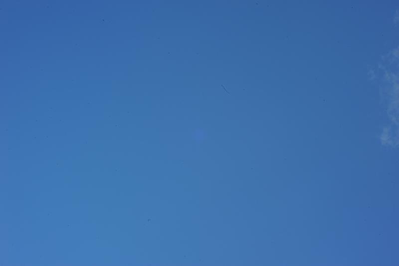 DSC_8649.jpg