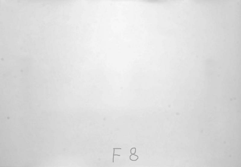 NSA_8105.jpg