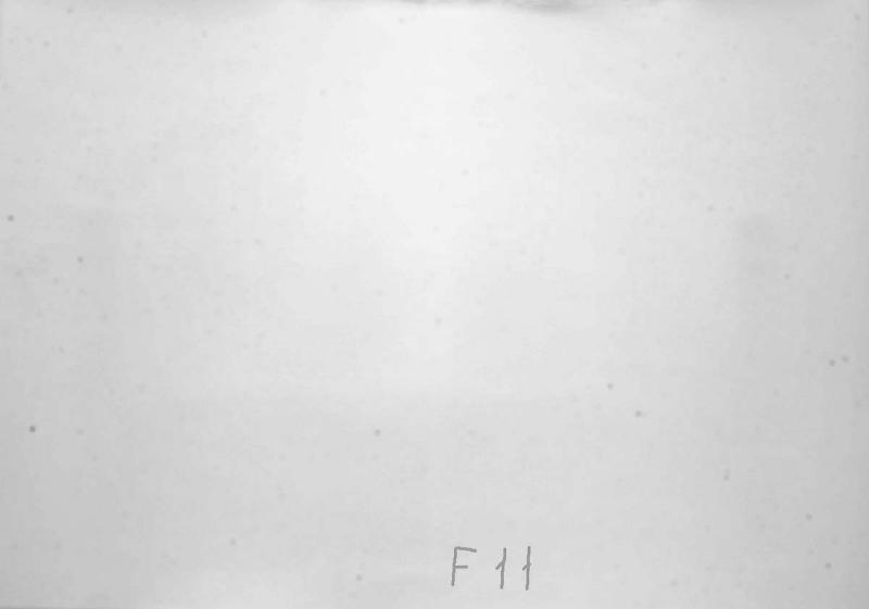 NSA_8106.jpg