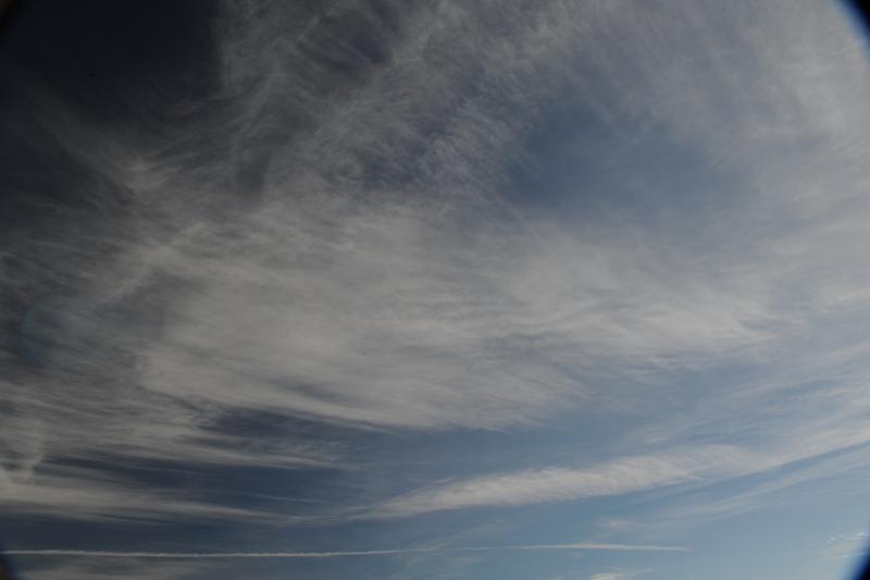 DSC_4238.JPG
