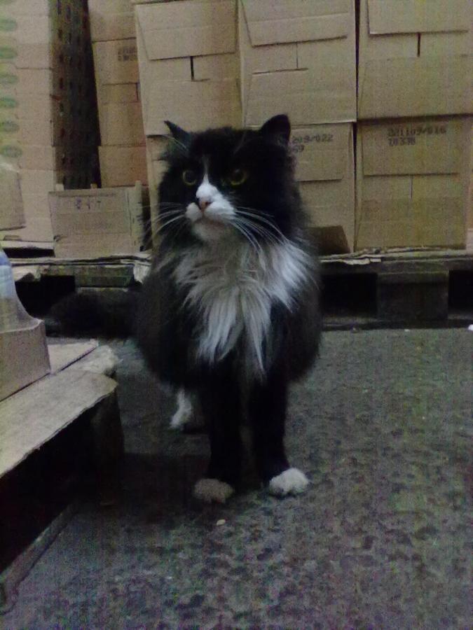 06032010028.jpg