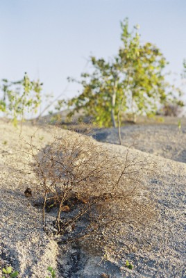 000022_1_resize.jpg