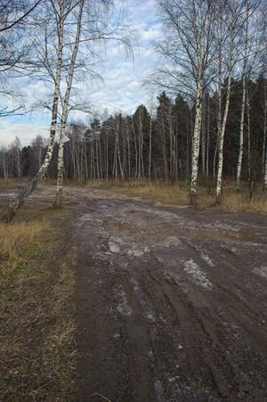 DSC_5300.jpg