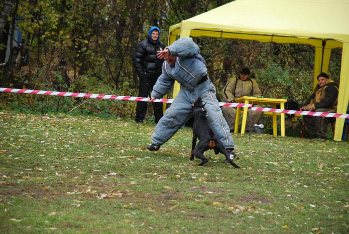 DSC_0379.jpg