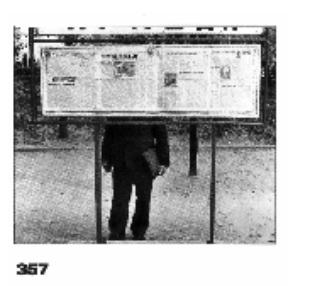 357.jpg