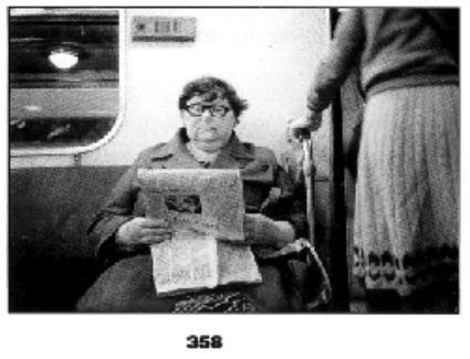 358.jpg