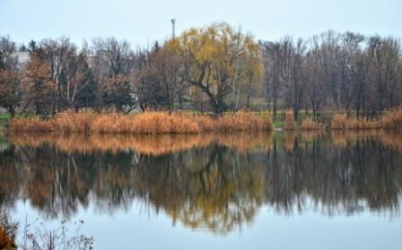 DSC_2470 - копия.JPG