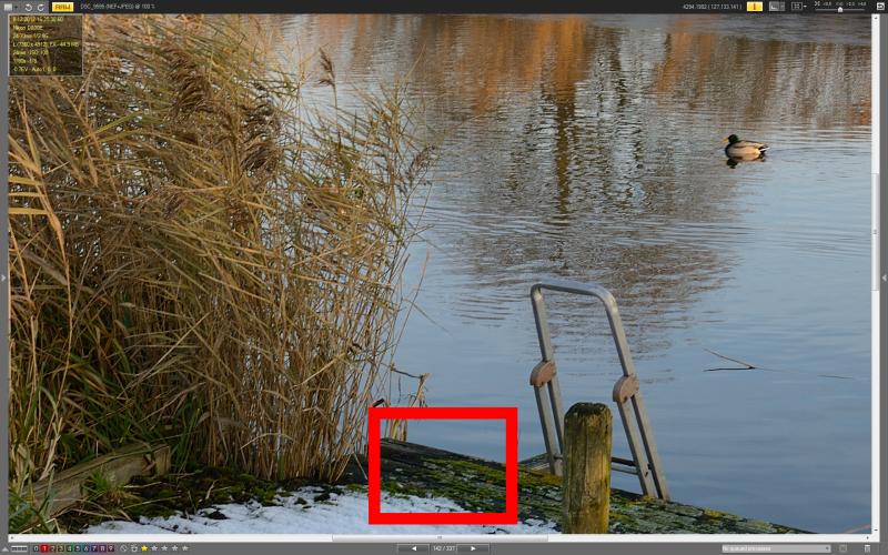boat c.jpg