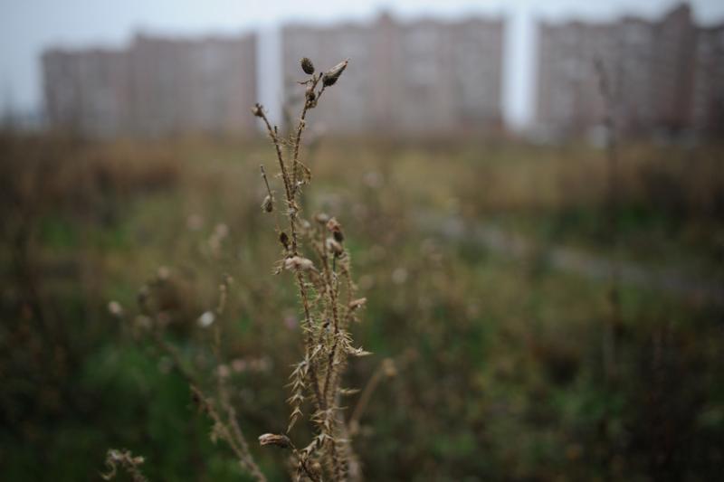 NI3_0863.JPG