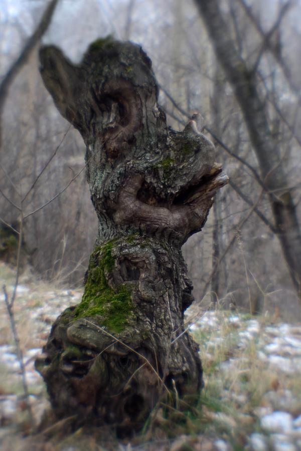 DSC_0122.JPG