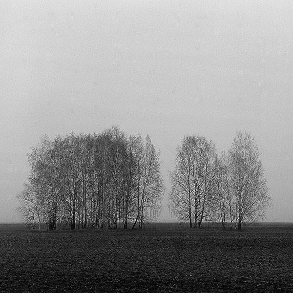 Безимени-30 web.jpg