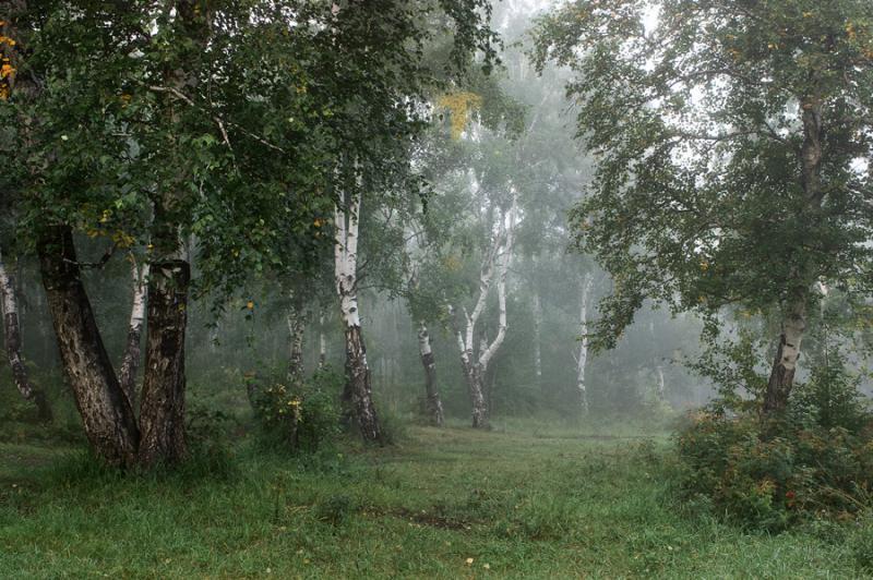 DSC_6893_web.jpg