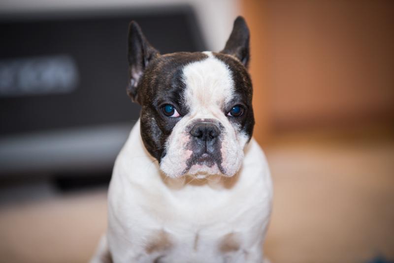 DSC_9790_low.jpg
