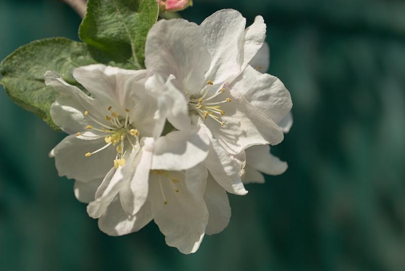DSC_1607.jpg