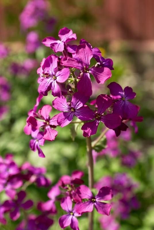 DSC_1614.jpg