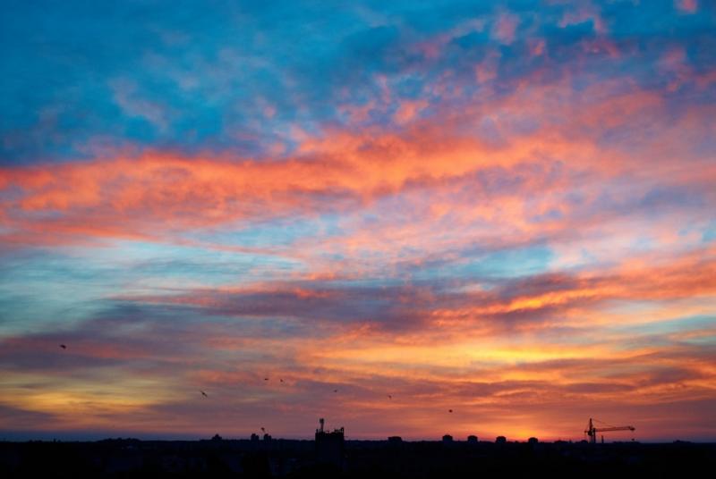DSC_2473-.jpg