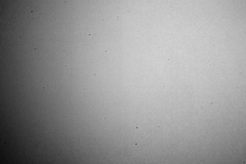 DSC_1829.jpg