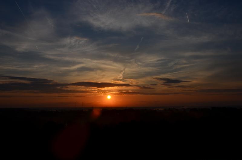 DSC_0893.JPG