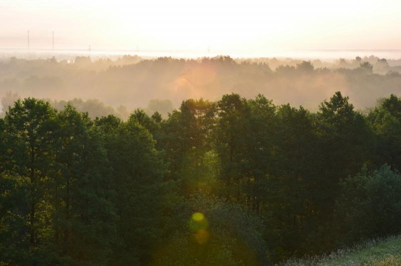 DSC_1013.JPG