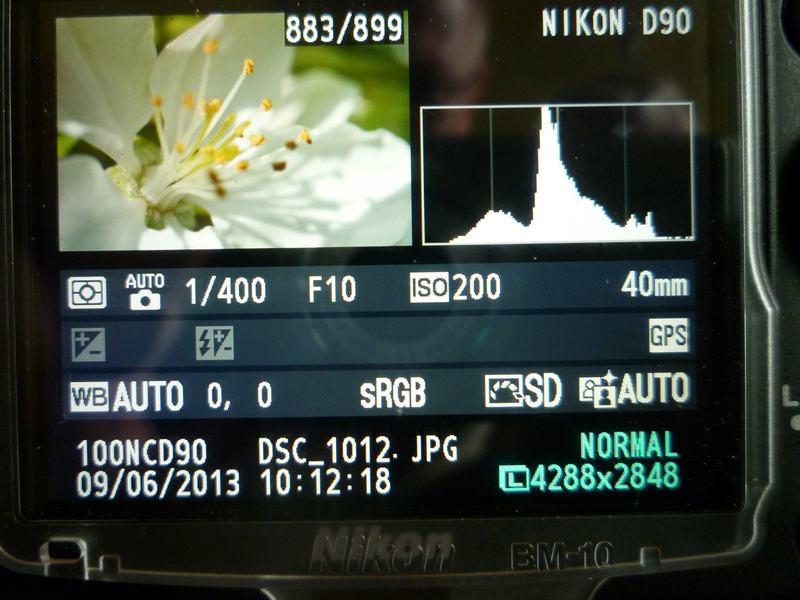 P1070025Аметист_Ильинка.jpg