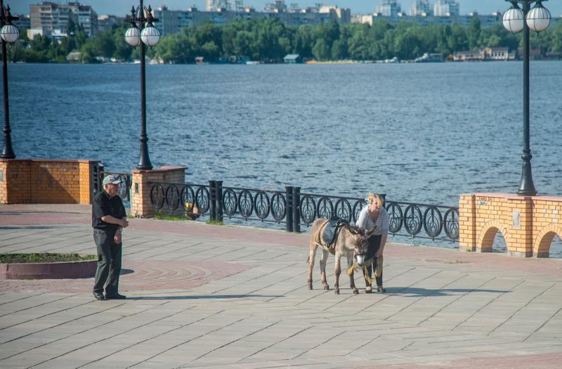ва1.jpg