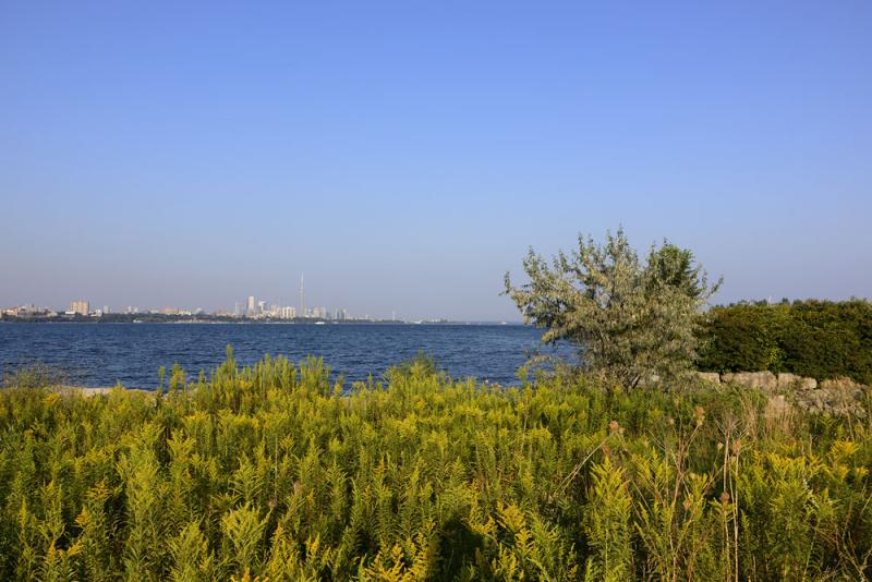 DSC_1348.jpg