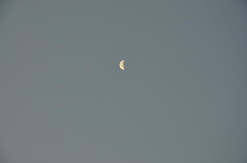 DSC_5740-1.jpg