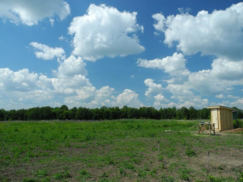 DSCN6295.JPG