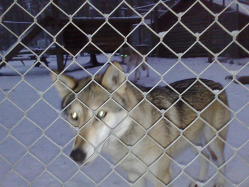 081120091800.jpg