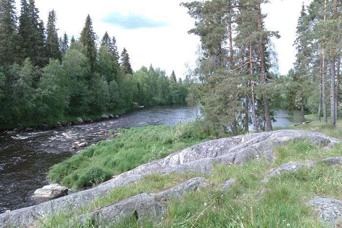 IMAG0276.jpg