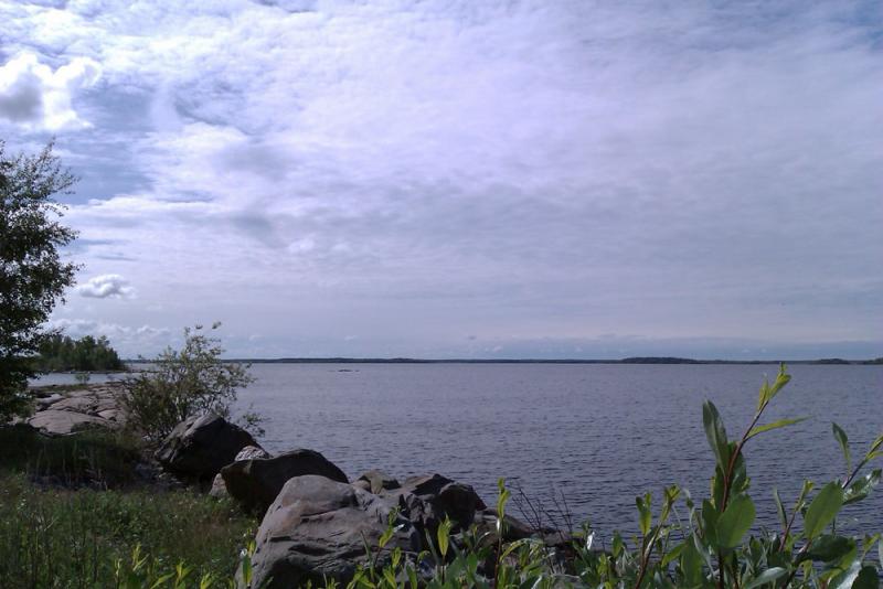 IMAG0274.jpg