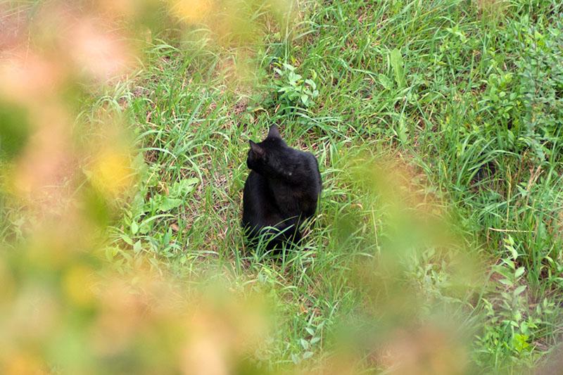 DSC_6307 копия1.jpg