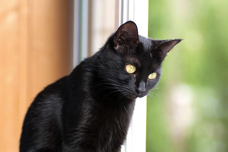 DSC_6312 копия1.jpg