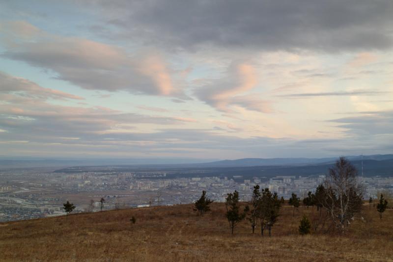 D24K1130-web.jpg