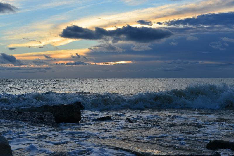 DSC_0557.jpg