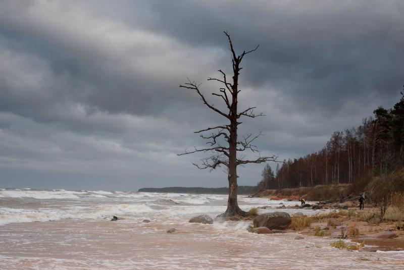 DSC_0594web.jpg