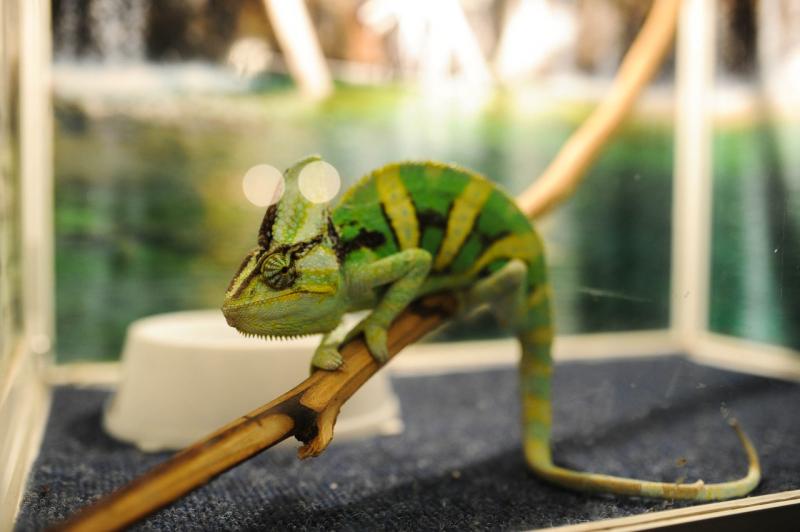 azbdiToTkGg.jpg