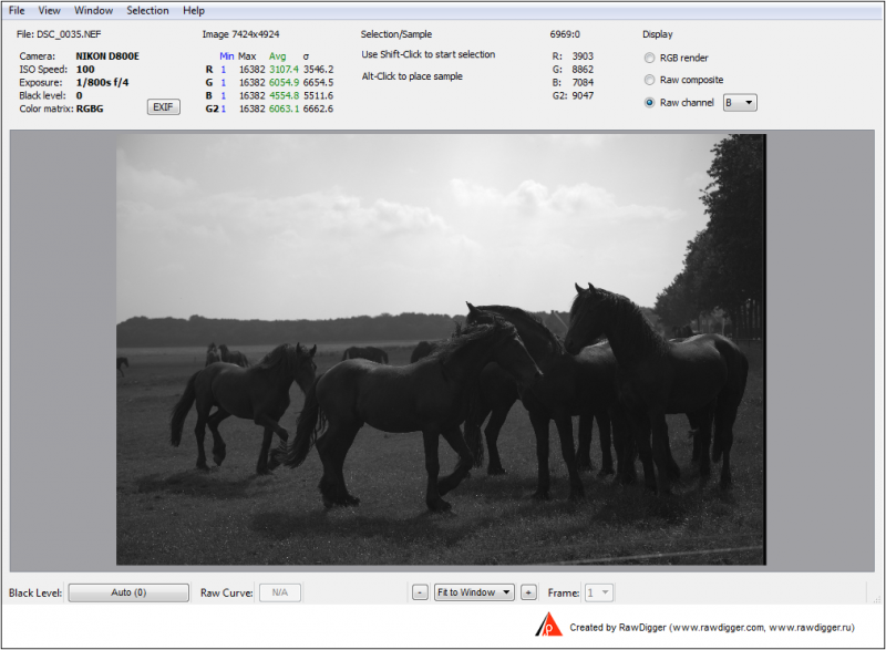 DSC_0035-B.png