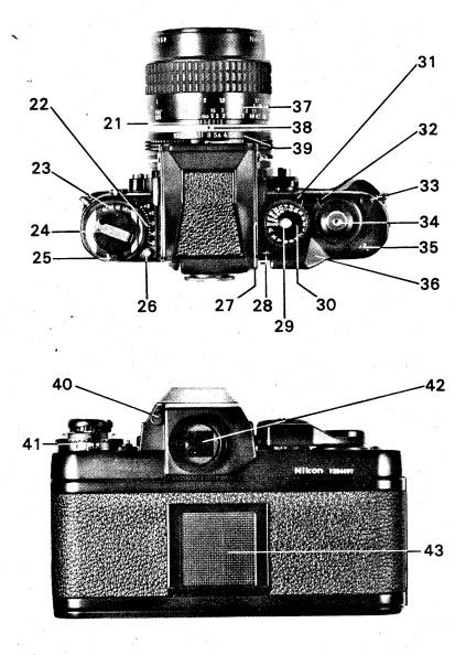 f3.jpg