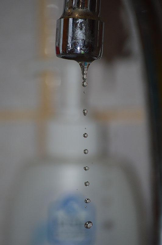 DSC_1535.JPG