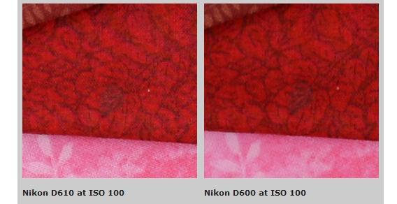 d600_d610.jpg