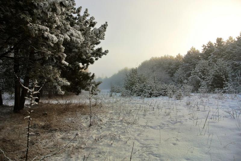DSC_0635.jpeg