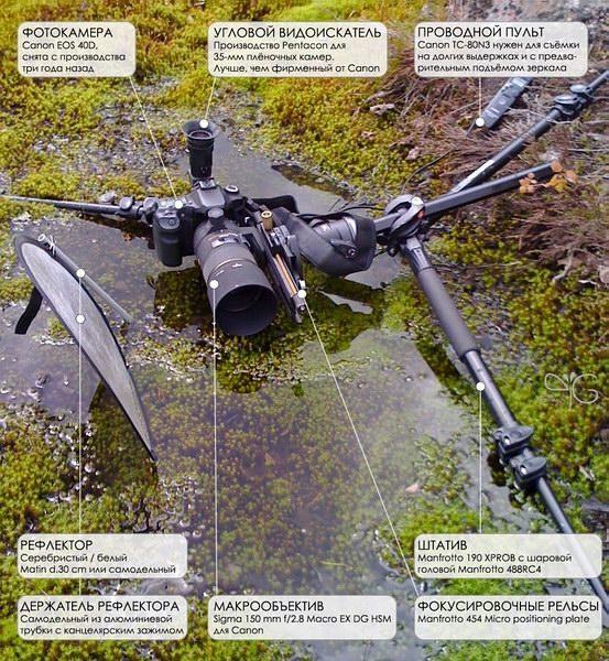 gp_98987_ka-Macro-tech-explained-945x1024.jpg