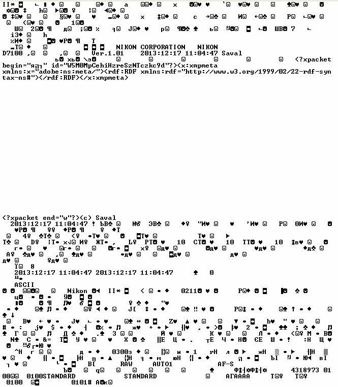 ascii.jpg