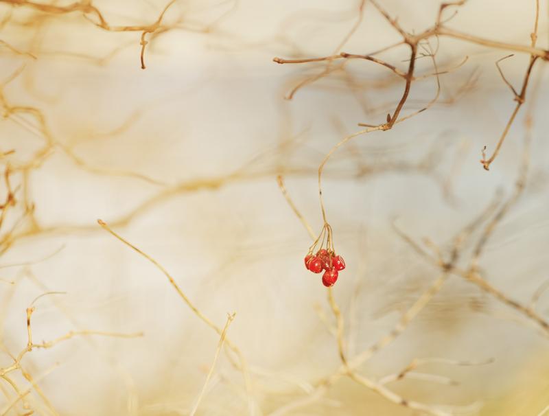 Приветствуя весну.jpg