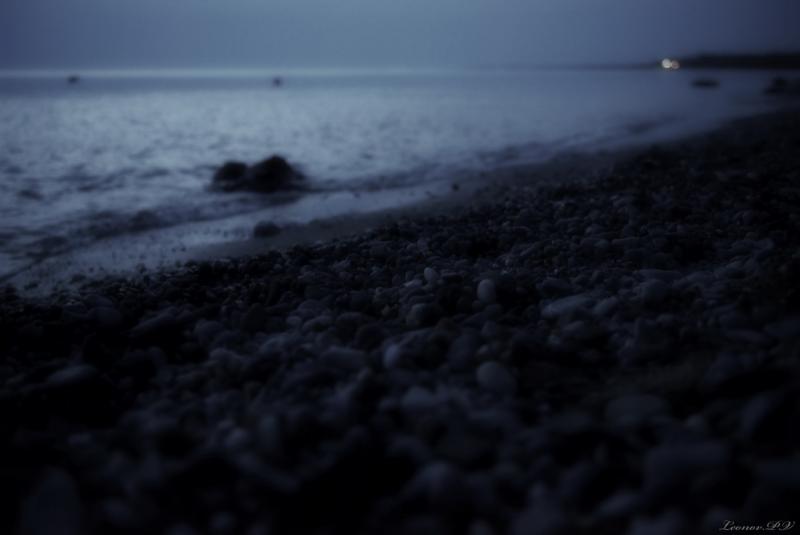 DSC_049153.jpg